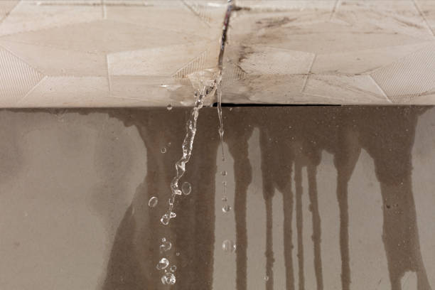 Professional Structural Drying technician working in Somers, NY